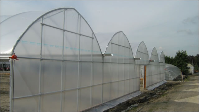 gutter connect steel hydroponics greenhouse