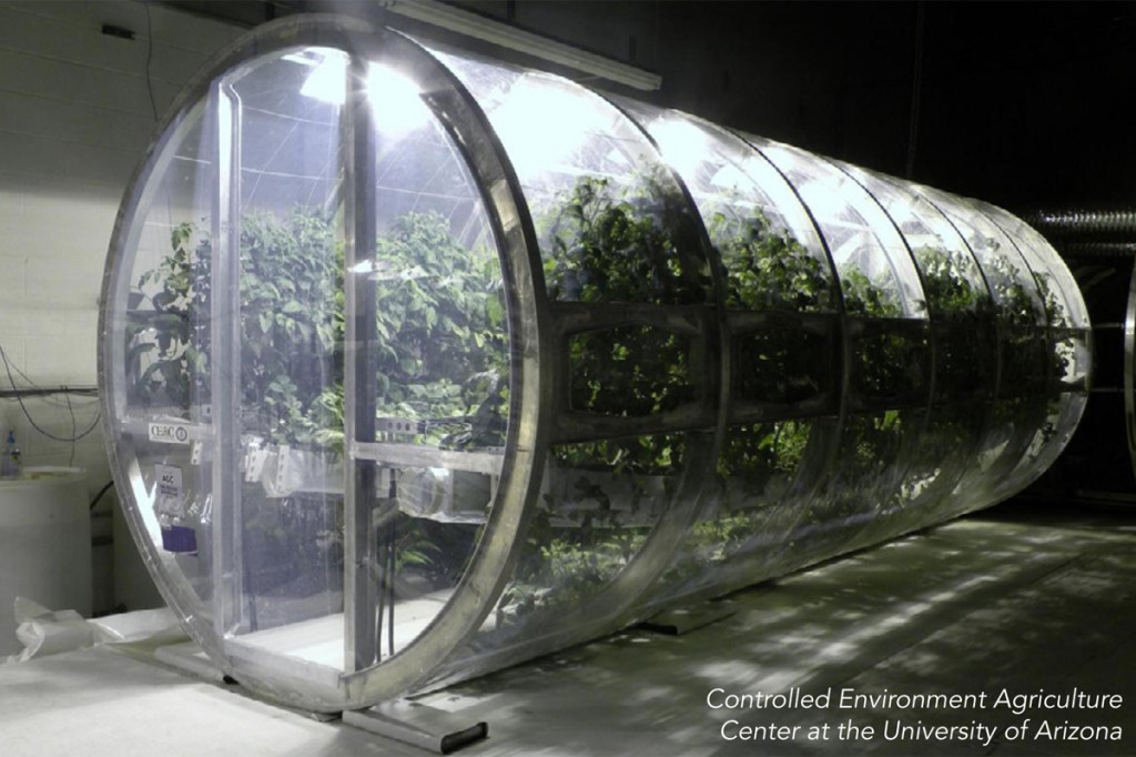 modern hydroponics farming university arizona