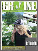 Read Grozine Digital issue