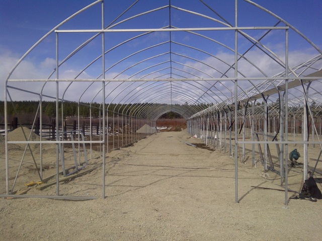 greenhouse building steel