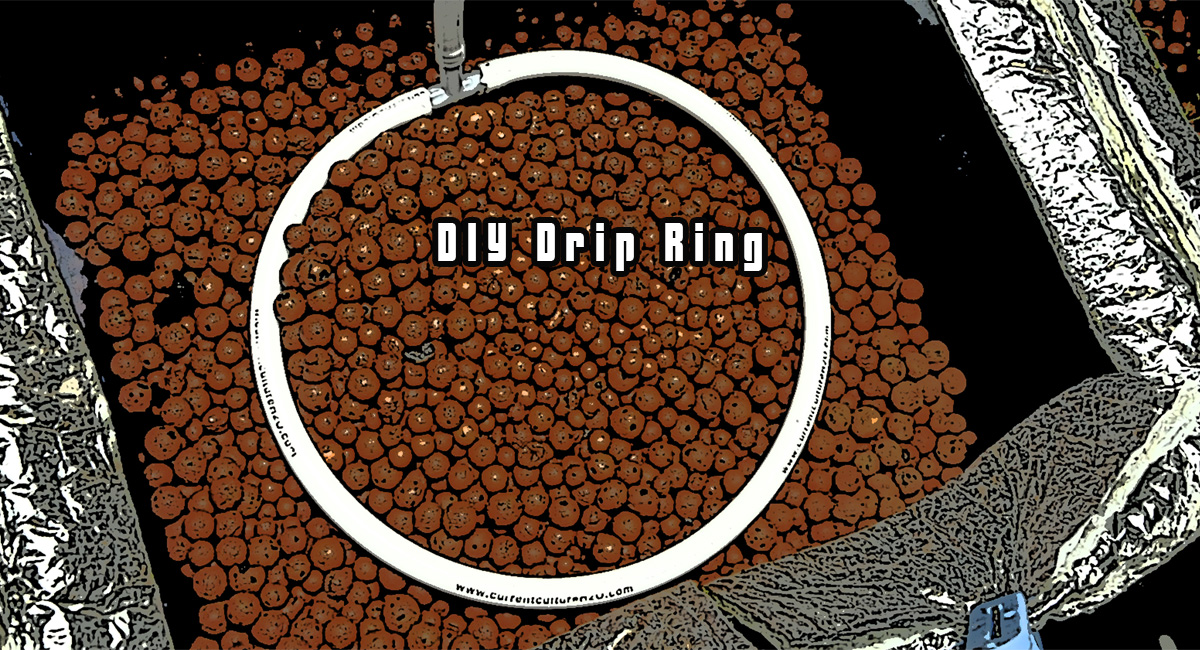 DIY Drip Ring - GROZINEGROZINE