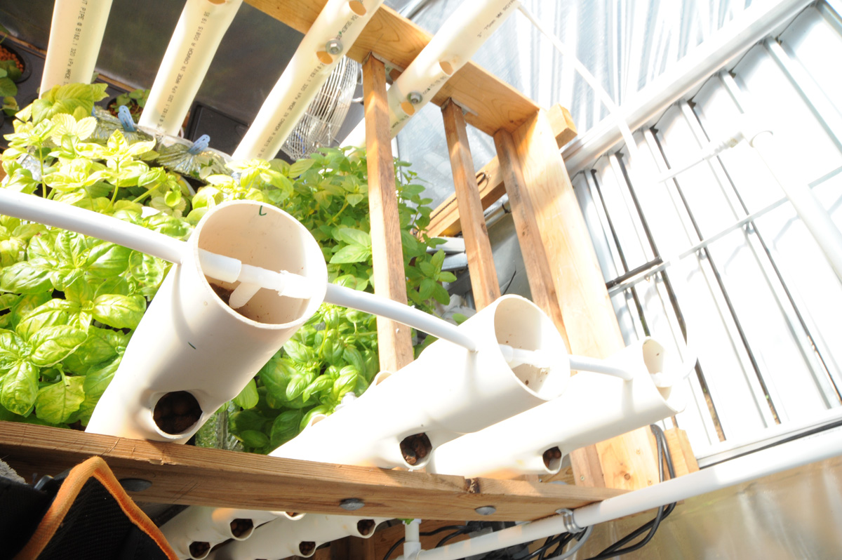 DIY Vertical Aquaponics System ready to plant. Notice both sides can ...