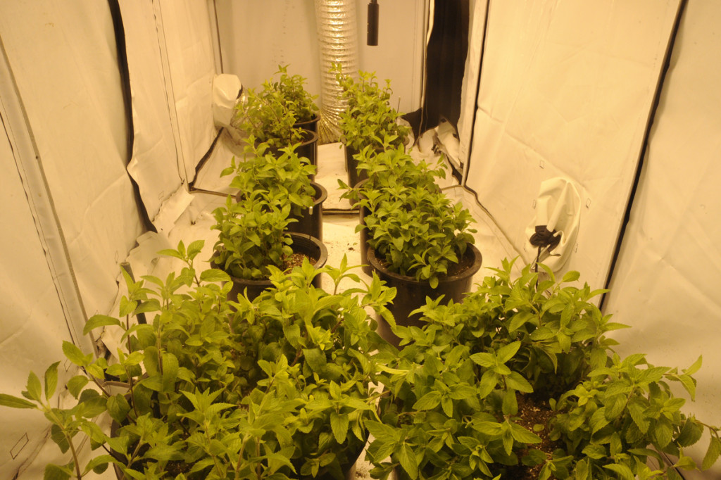 environemntal control for hydroponics crops