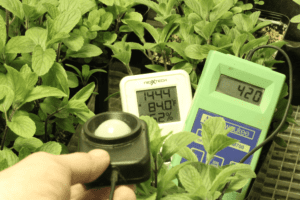 light meter grow room lumens