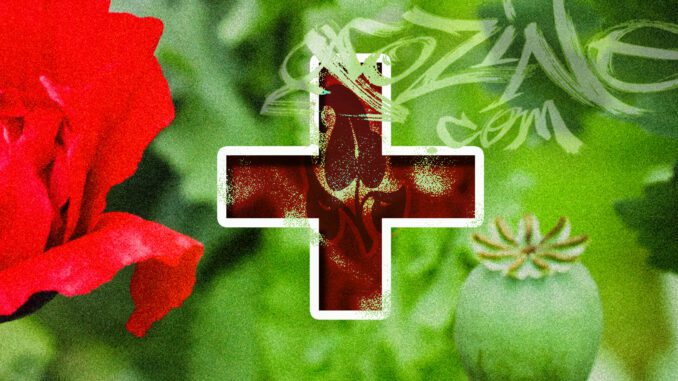 medical-background-1 The Medicinal Value of Flowering Plants