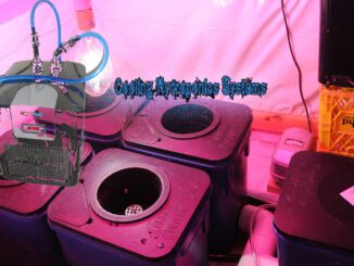 cooling hydroponics systems
