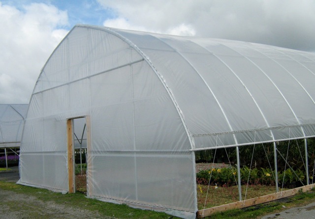 freestanding gothic arch hydroponic greenhouse