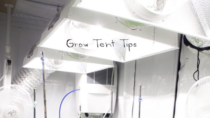 Grow Tent Growing Tips
