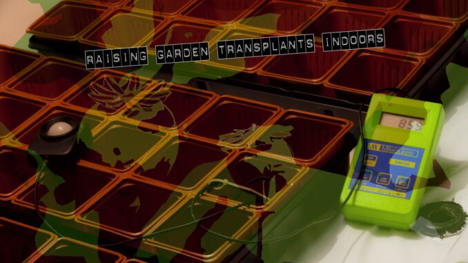 raising garden transplants indoors-ART