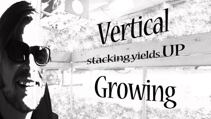 vertical hydroponics gardening grozine erik biksa