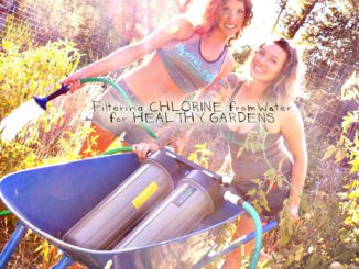 filtering chlorine from water for healthy garden soils