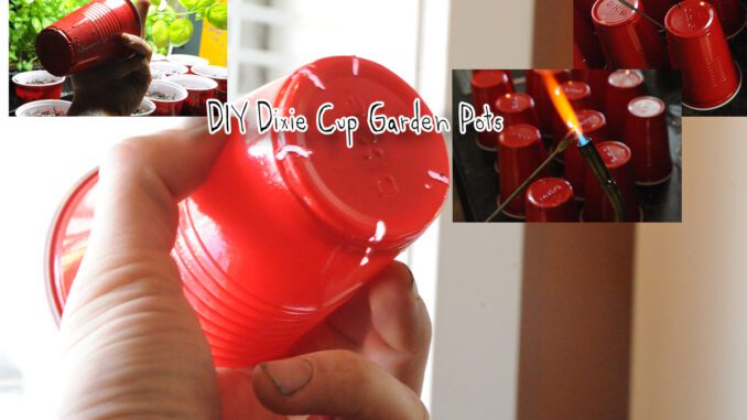 DIY Dixie Cup Garden Pots