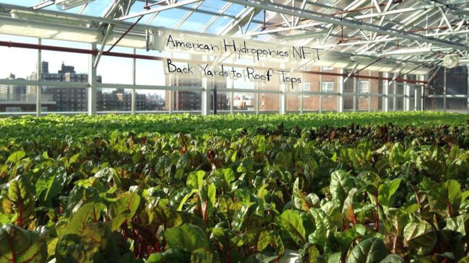 american hydroponics nft systems american hydroponics nft systems