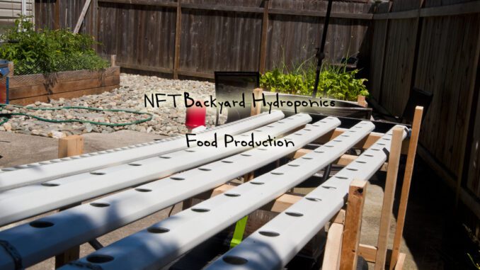 NFT backyard hydroponics food production