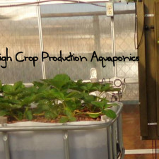 High Crop Production Aquaponics