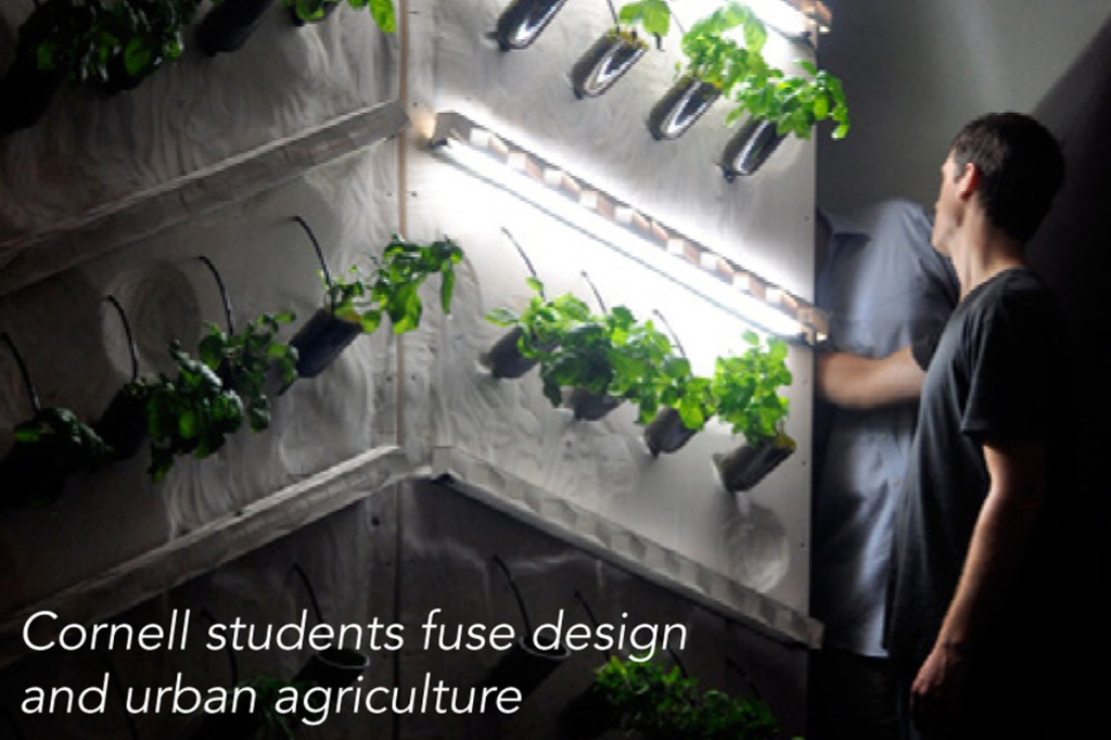 modern hydroponics farming corenll university