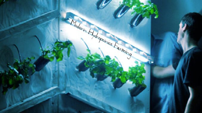 modern hydroponics farming hydroponics article