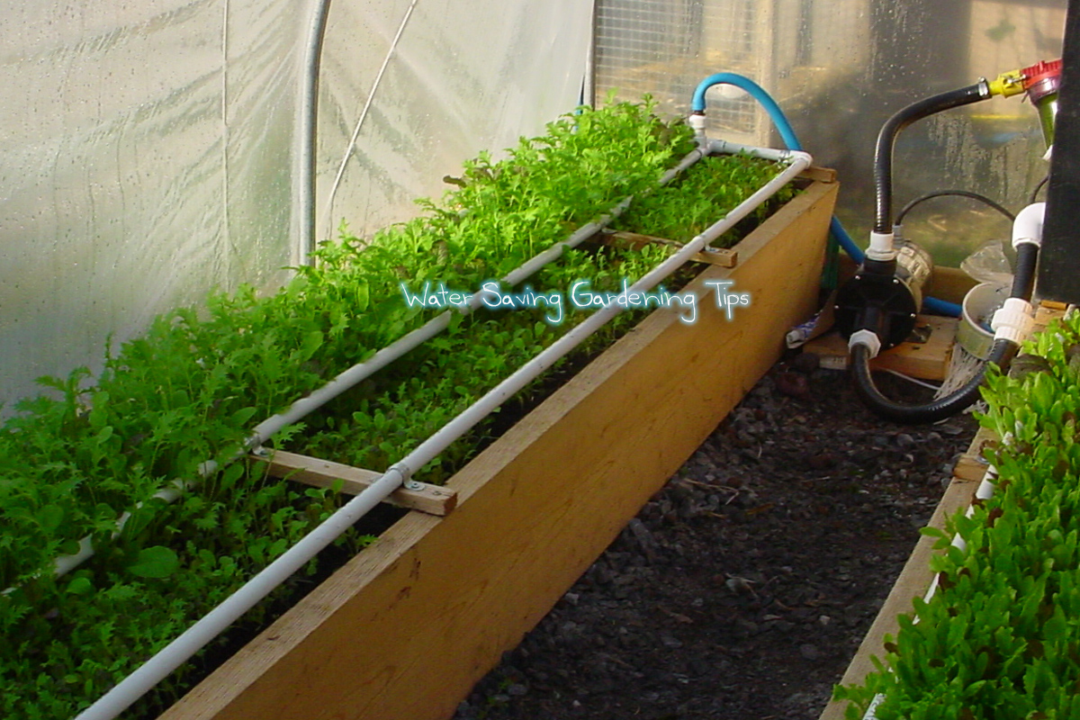 Water-Conserving Gardening Tips for Canadians - Featured Image
