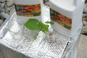 15-Cultured Solutions hydroponic nutrients