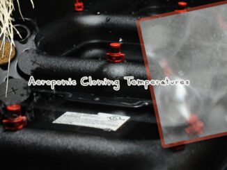 aeroponic cloning temperature