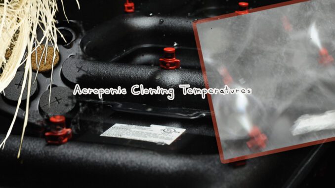 aeroponic cloning temperature