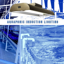 Aquaponic Induction Lighting