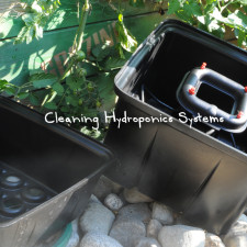 Cleaning Hydroponics Systems