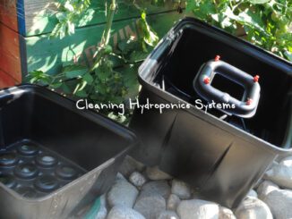 cleaning hydroponics systems