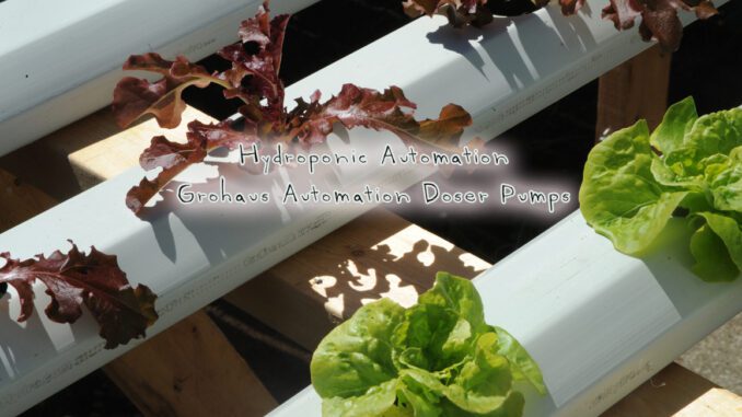 hydroponics automation grohaus doser pumps