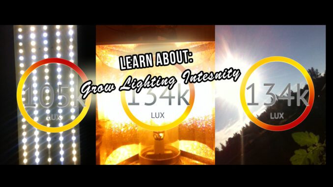 learn about grow lighting basics