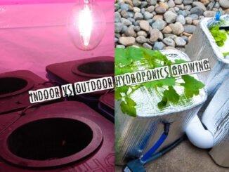 outdoor vs indoor hydroponics growing