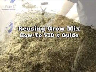 Reusing grow mix