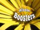 bloom boosters