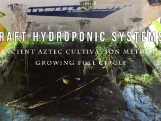 raft hydroponic systems
