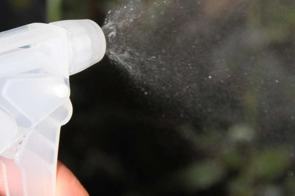 spray to treat powdery mildew