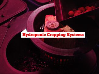hydroponic cropping systems