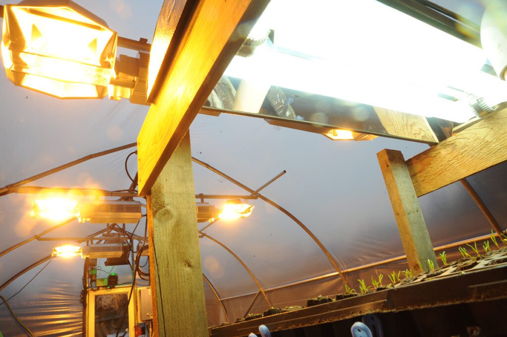 greenhouse lighting systems