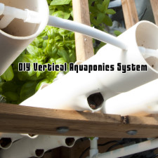 DIY Vertical Aquaponics System