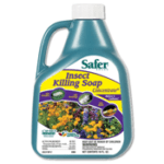 safer-insect-killing-soap-concentrate-16-oz