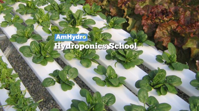 hydroponics school