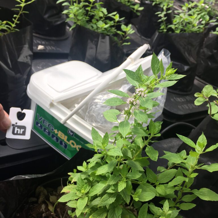 Veg Bloom Nutrients GROZINE