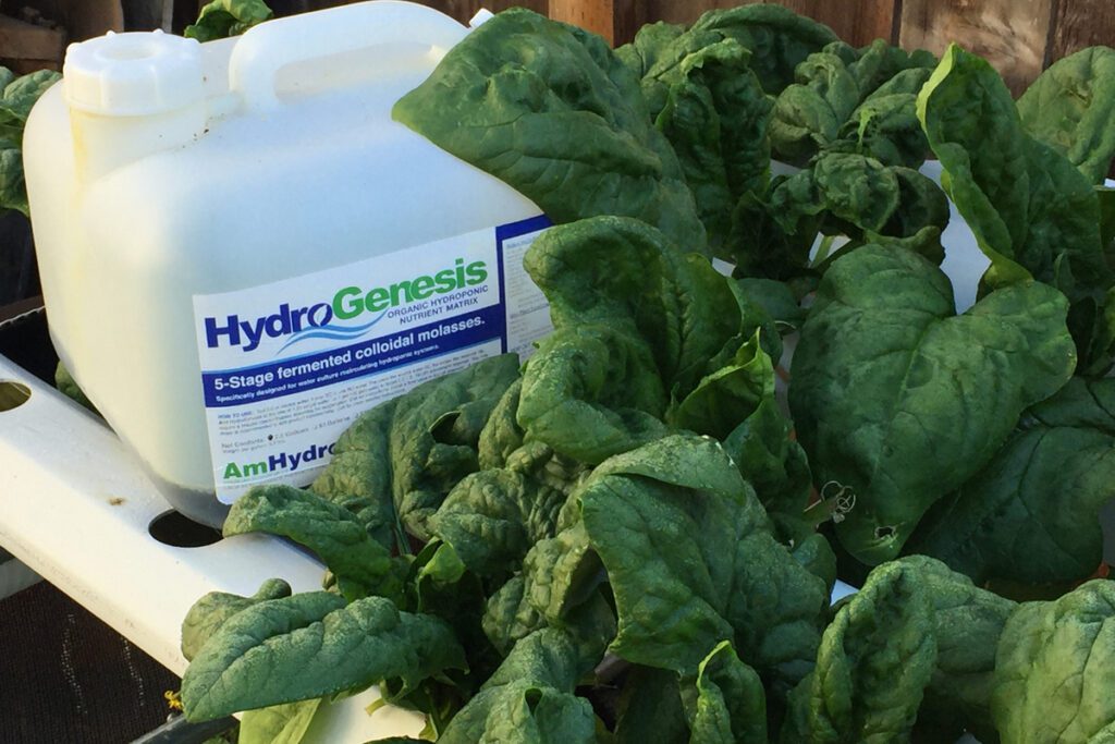 AmHydro Hydro Genesis Organic Fertilizer bottle