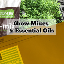 Grow Mixes Increase Essential Oils