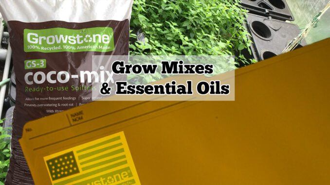 how grow mixes increase essential oils