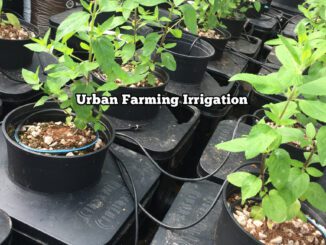 urban farming irrigation