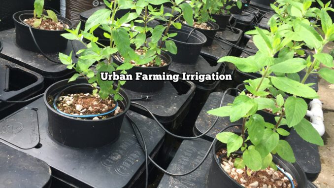 urban farming irrigation