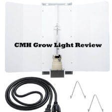 CMH Grow Light Review