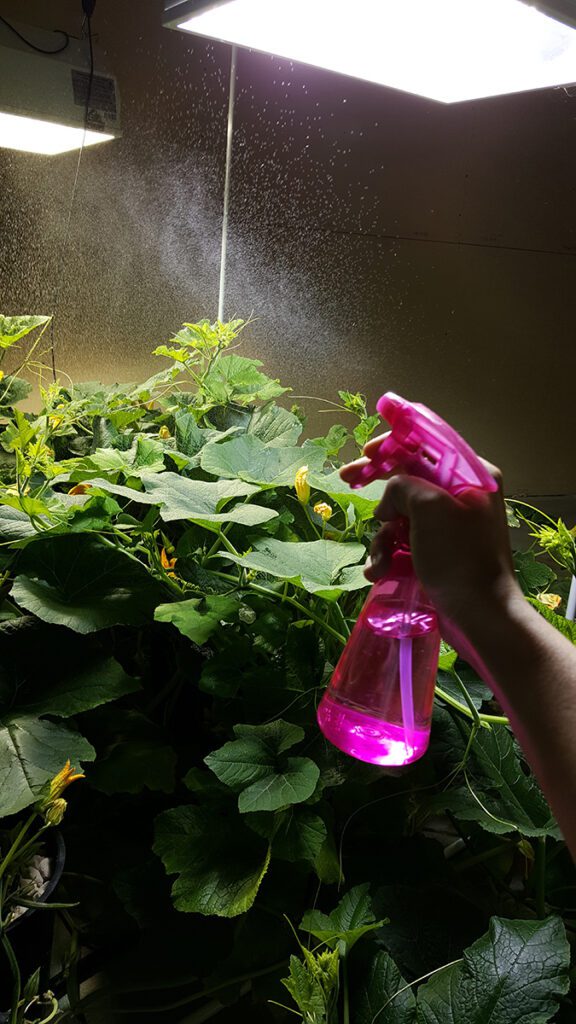 basic-hydroponics-humidity