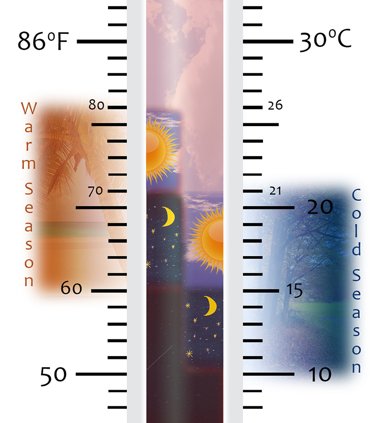 warmcold-season-plant-thermometer-diagram-web