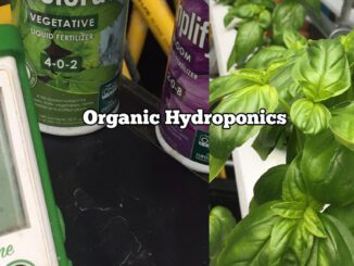 organic hydroponics